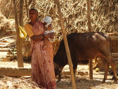 Karnataka - 04.2011