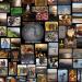 INDIA IN 101 PICS