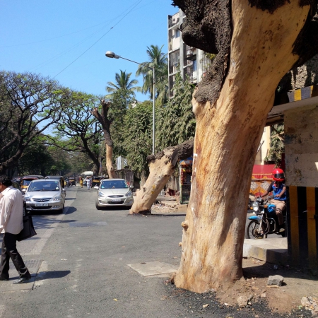 Walking Bandra Streets