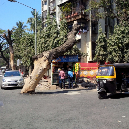 Walking Bandra Streets