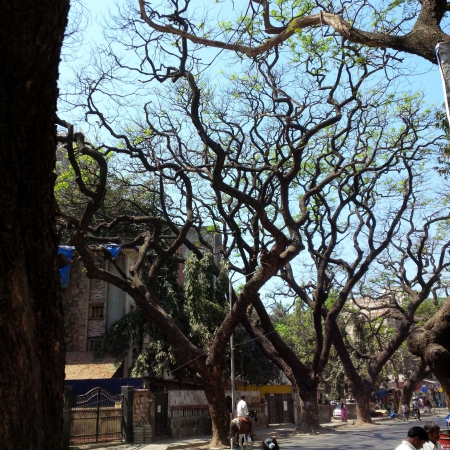 Walking Bandra Streets