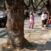 Walking Bandra Streets