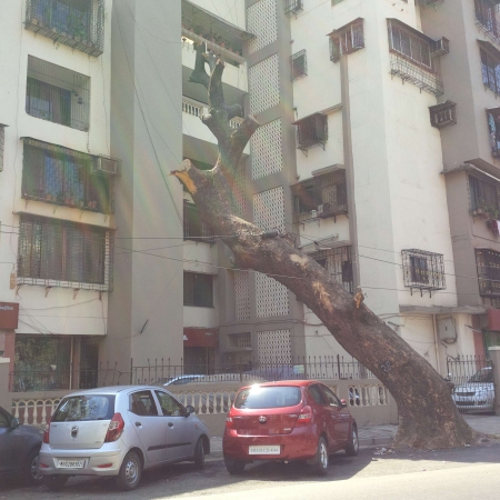 Walking Bandra Streets