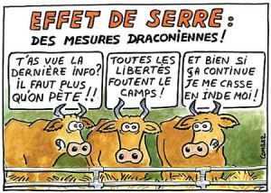 Panchagavya,vache,vache sacrée,hindouisme,bouse,urine,lait,ghee,buffalo,buffle,bufflonne,vache laitière,environnement,lait,pet,pet de bœuf,méthane,abattage,bœuf,viande,végétarien,non-végétarien,Constitution,loi,buffle d’eau,Kambala,Kerala,course de buffles