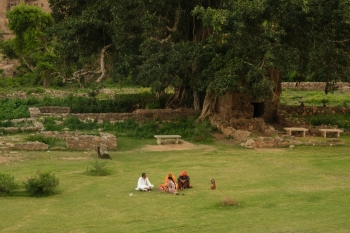 Inde,rajasthan,sariska,réserve de tigres,bhangarh fort