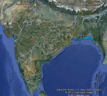 inde,west bengal,safari,tigre,mangrove