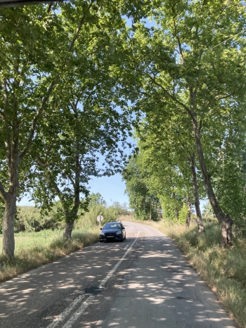 Campervan,van,camping-car,carvaning,vanlife,vanlifediaries,Portugal,roadtrip,roadtripportugal,grandcalifornia,Algarve,alentejo,castoverde,evora