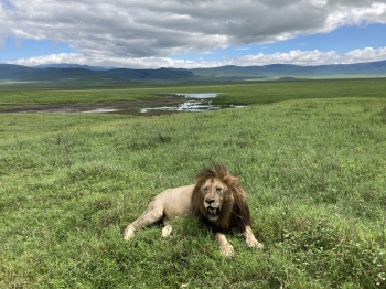 Tanzanie,Tarangire, Manyara, Ngorongoro, Serengeti, Zanzibar, maasai, maasais, safaris, animaux, dar es salaam, Lushoto, Lake Natron, Lengai, Mount Lengai, ascension, Ol Doinyo, volcan, Arusha, Karatu