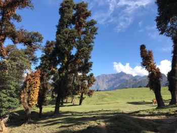 inde,uttarakhand,trek,trekking,randonnée,sari,rishikesh,deoriatal,tungnath,chopta