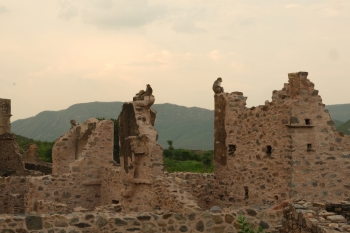 Inde,rajasthan,sariska,réserve de tigres,bhangarh fort