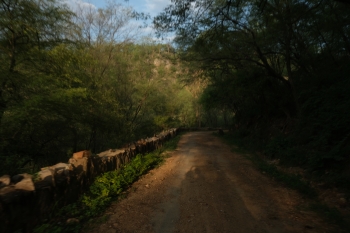 Inde,rajasthan,sariska,réserve de tigres,bhangarh fort