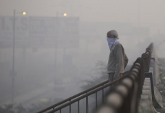 Inde,pollution,air,delhi,PM2,5