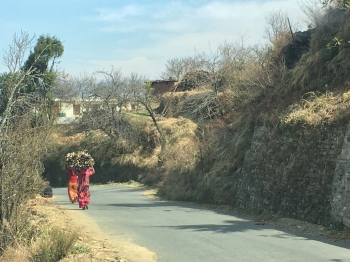 inde,uttarakhand,nainital,observatory,étoiles,kumaon hills