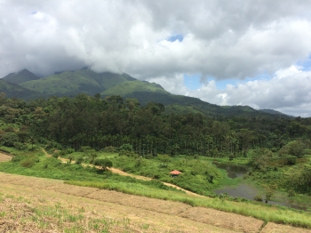 Inde,Kerala,Calicut,Kozhikode,Wayanad,Ayurveda,grassroots,Kalpetta,plantation de thé,escapade de Mumbai,zamzam,musulmans