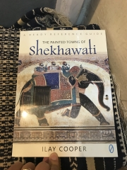 Inde,Rajasthan,Shekhawati,Shekawati,Mandawa,havelis,peintures