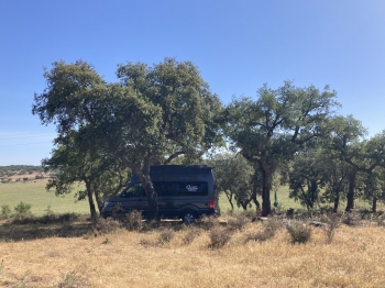 Campervan,van,camping-car,carvaning,vanlife,vanlifediaries,Portugal,roadtrip,roadtripportugal,grandcalifornia,Algarve,alentejo,castoverde,evora