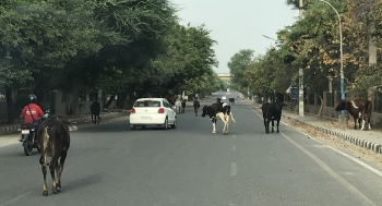 inde,corona,coronavirus,virus,covid,épidémie,routes vides,gurgaon