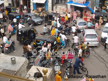 inde,circulation,conduite,conduire,code de la route,règles,voiture,conduite à gauche,permis,bus,transport public,métro,réseau routier,parc automobile,accidents,route,rue,vaches,chèvres,rickshaws